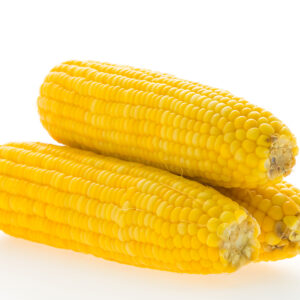 Fresh American Sweet Corn (Bhutta) Without Cover